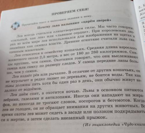 4.Найдите и запишите ключевые глаголы, которые помагают описать действие львов.