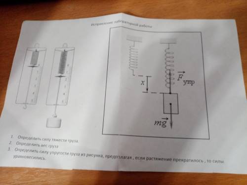 1. Определить силу тяжести груза 2. Определить вес груза 3. Определить силу упругости груза из рисун