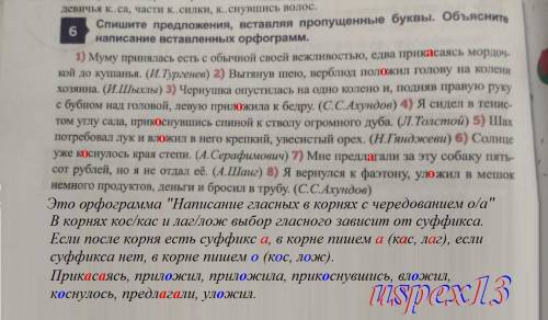 6 Спишите предложения, вставляя пропущенные буквы. Объясните написание вставленных орфограмм. 1) Мум