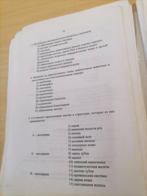 Соотнесите зародышевые листки и структуры, которые из них развиваются.