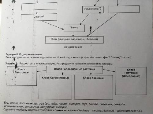 Нужно выполнить задания 6,7 и 9. Огромное .