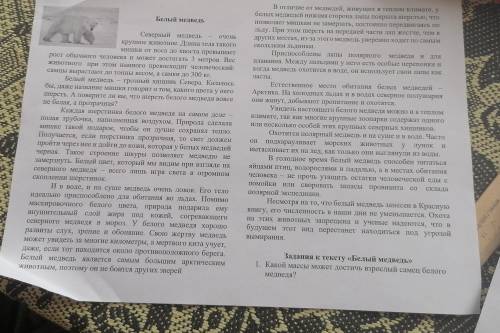 ответить на прочитанных рассказ на вопросы про белого медведя