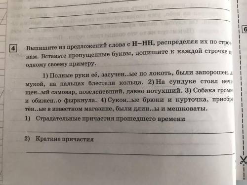 Выпишите из предложений слова с Н-НН РАСПРЕДЕЛЯЯ ИХ ПО СТРОЧКАМ