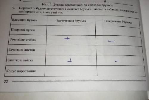 Порівняйте будову вегетативної квіткової бруньки заповніть таблицю позначте наявність органів + а ві