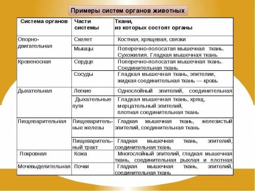 Отразите информацию о строение и функционировании систем органов животного организма в виде таблицы