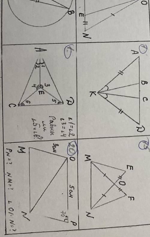 Найти равные треугольники и доказать, что они равны