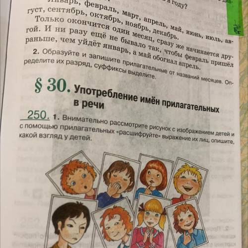 S 30. Употребление имён прилагательных в речи 250. 1. Внимательно рассмотрите рисунок с изображением