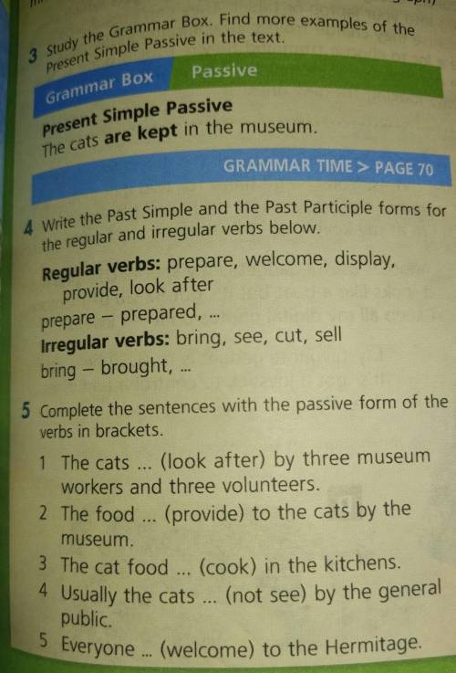 5 complete the sentences with the passive form of the verbs in brackets 1 The cats ... (look after)