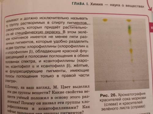 Вопрос 2. Почему, на ваш взгляд, М Цвет выделил эти две группы веществ? Какие свойства веществ учёны