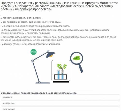 В лаборатории провели эксперимент. В две пробирки добавили одинаковое количество воды. На поверхност