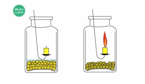 . Билим мектеп В две стеклянные банки положили сухие семена гороха. В первую налили немного воды, а