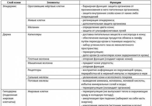 Заполни таблицу вписав недостоющие элементы Слой кожи Элементы Функции 1) Жировые клетки 2) Плотные