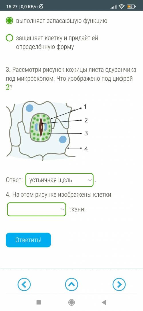 .какая ткань обозначена на картинке