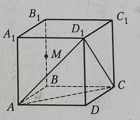 Дан Куб ABCDA1B1C1D1, ребро которого равно 12, точка M - середина ребра BB1. Постройте сечение куба