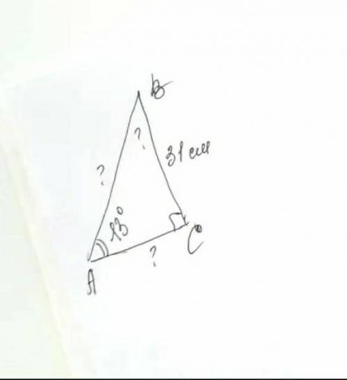Дан прямоугольный треугольник ABC у которого BC равен 31, а угол A равен 13 градусов Найдите AB,AC (