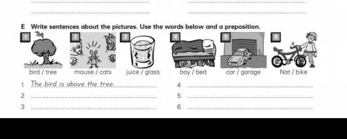 Напишите предложения о картинках. Используйте слова ниже и предлог.