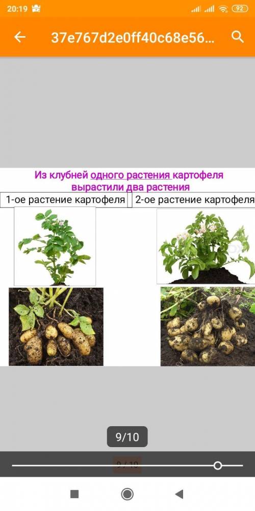 Выполнить лабораторную работу