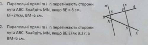 Паралельні прямі mi n перетинають сторони кута АВС. Знайдіть MN, якщо ВЕ=8 см, EF=24см, ВM-6 см