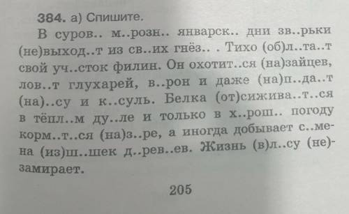 Сб. с. 205 у. 384. Спиши, вставив пропущенные буквы. Обозначь спряжение глаголов, выдели окончания.