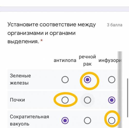 Организмами и органами выделения. * антилопа речной рак инфузория Зеленые железы Почки Сократител