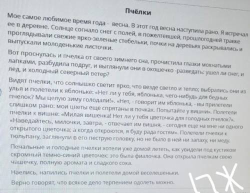 Докажи что это эссе повествование. Выбери из предложенных вариантов признаки эссе- повествования Вер