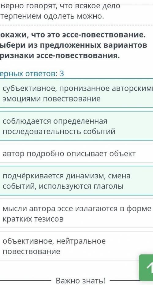 Докажи что это эссе повествование. Выбери из предложенных вариантов признаки эссе- повествования Вер