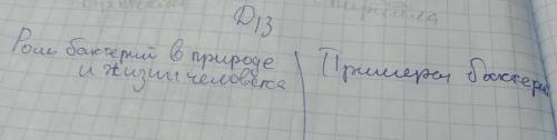 Нужно сделать таблицу по биологии: Роль бактерий в природе и примеры бактерий