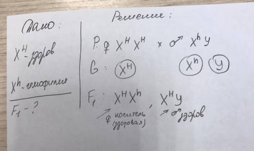 У людини гемофілія зумовлена рецесивною алеллю, локалізованою в Х-хромосомі. Яка ймовірність народже