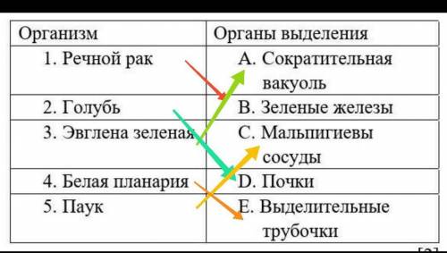 Найдите соответствие. Организм Органы выделения 1.     Речной рак A.   Сократительная вакуоль 2.    