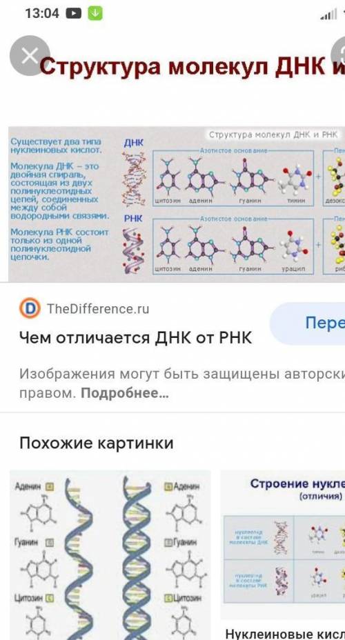 Чем рекомбинантное днк отличается от обычного Днк?