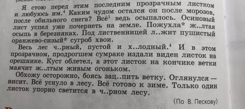 списать, выделить орфограммы в корне слова, разобрать 1-е предложение под цифрой 4 и слово под цифро