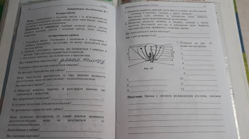 《Зі скількох чашолистків складається чашечка?》Или можете полностю ответить ! 6 класс. Биология.