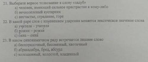 улно 21. Выберите верное толкование к слову кладуб, а) человек, имеющий сильное пристрастиек келно)