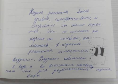 1 По каким свойствам царство растений подразделяется на низшие и высшие растения? 2 Расскажите о при