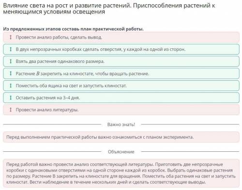 Из предложенных этапов составь план практической работы. 1 Растение В закрепить на клиноcтате, чтобы