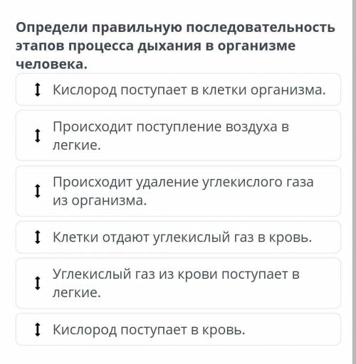 Определите правильную последовательность этапов процесса дыхания в организме человека !