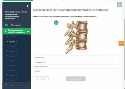 Типы соединения костей: неподвижное, полуподвижное, подвижное подвижное неподвижное полуподвижное су