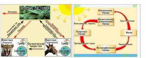 (b) Сформулируйте определение данной закономерности географической оболочки.