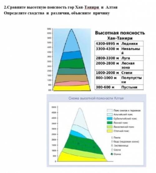 Сравните высотную поясность гор Хан Танири и Алтая. Определите сходства и различия,объясните причину