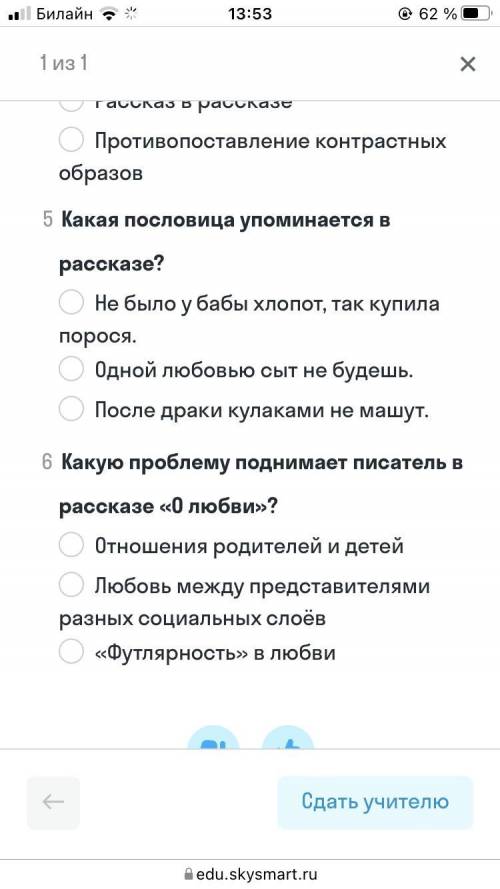 с литературой, рассказ Чехова «о любви» 5 и 6 вопрос