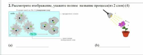 2. Рассмотрите изображение, укажите полное название процесса(из 2 слов) (4)