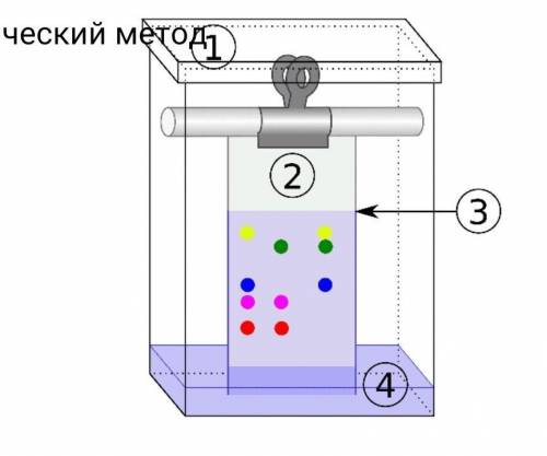 Рассмотрите рисунок. а) Назовите данный аналитический метод б) Что обозначено цифрами? 1 2 3 4 в) П