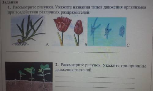 Рассмотрите рисунки. Укажите названия типов движения организмов при воздействии различных раздражите