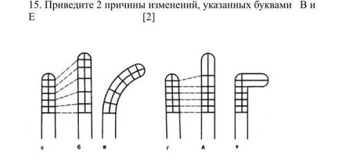 надо под буквой Е(последнее)