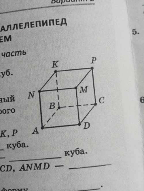 Точки A,B,C,D,M,N,K,P Называются-куба