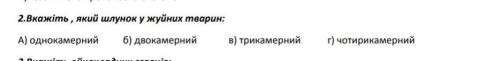 Укажіть відділ шлунка жуйних тварин варіанти відповідей: а) однокамернийб) двокамерний в)трикамерний