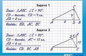 целый класс решить не может