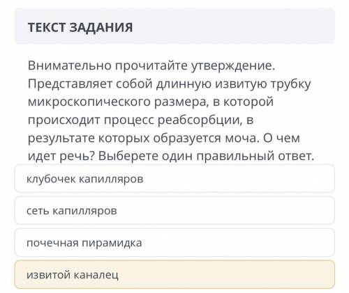 ЗАДАНИЯ Внимательно прочитайте утверждение. Представляет собой длинную извитую трубку микроскопическ