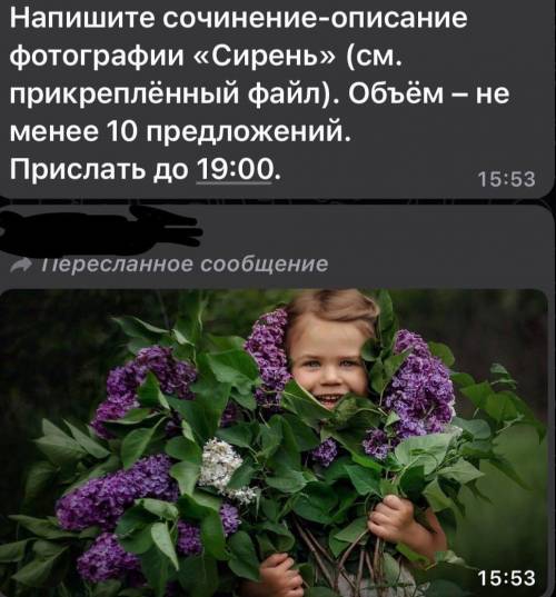 . много дз задали не успеваю это седлать