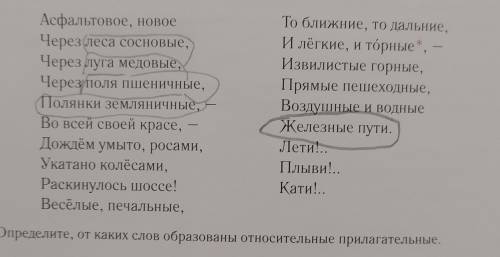 Выпишите из текста в два столбика имена существительные вместе с именами прилагательными ,определив